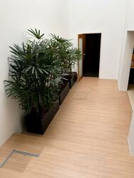 Cairnhill Road (D9), Detached #575076301